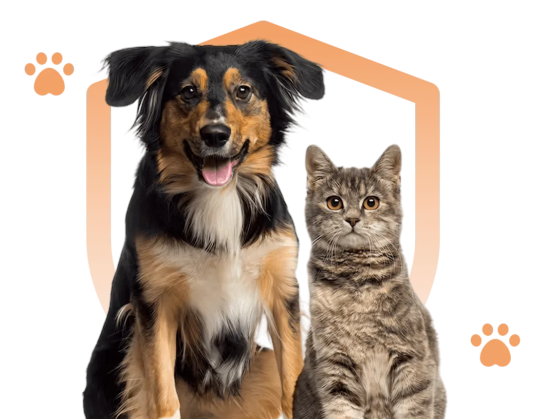 A dog and a cat sitting side by side in front of a shield outline